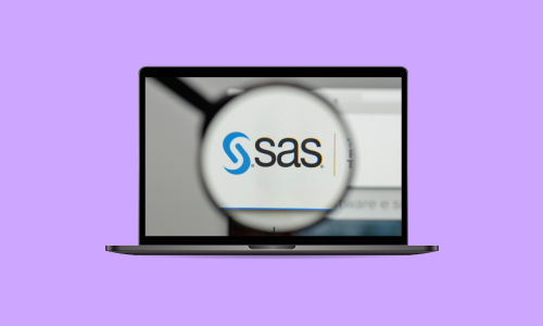 SAS Programming Basic to Advanced