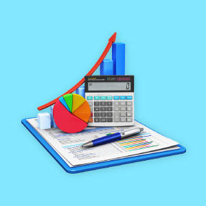 Finance and Budgeting Course