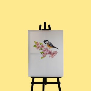 Draw Birds with Water Colour