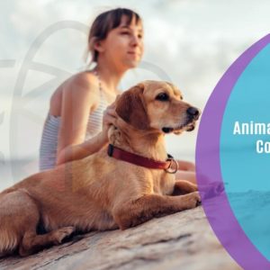 Animal Behaviour Counsellor