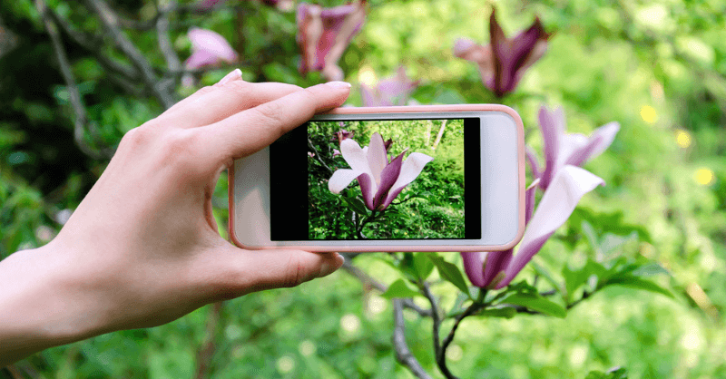 Mobile Photography Tips & Tricks