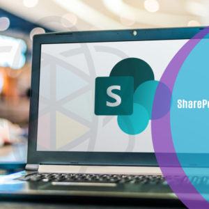 SharePoint Site Owner