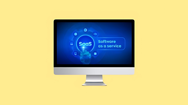 How To Startup Your Own SaaS (Software As a Service) Company (SaaS Evolution)