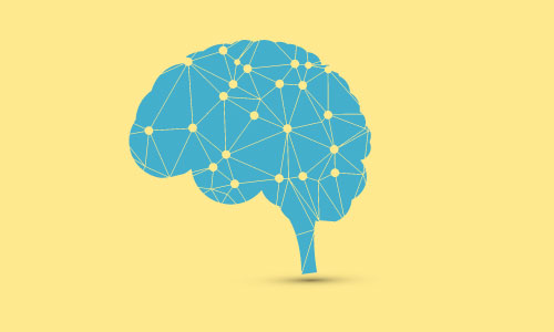 Neuroplasticity: How To Rewire Your Brain