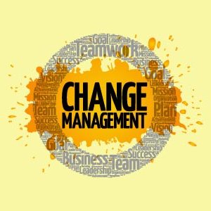 Change Management: Strategies & Tools
