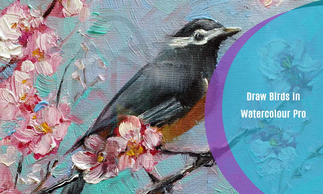 Draw Birds in Watercolour Pro