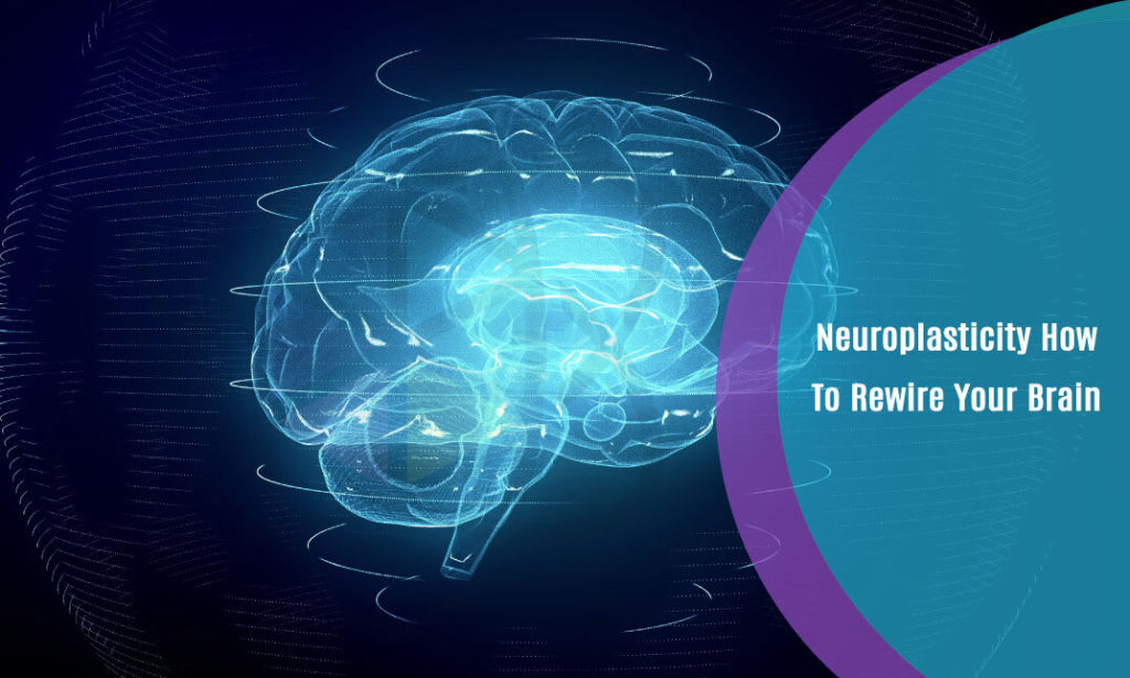 Neuroplasticity How To Rewire Your Brain One Education