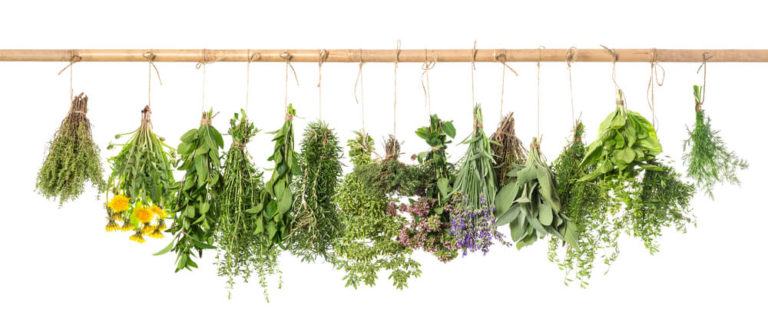 Healthy Food herbs