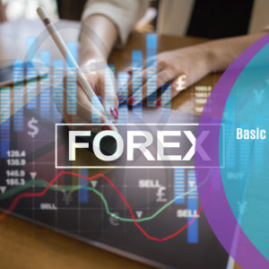 Basic Forex Trading