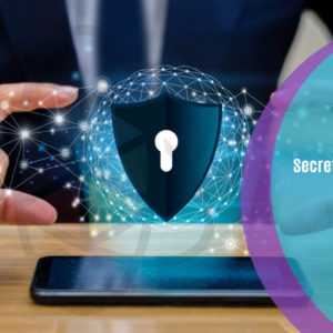 Secrets Of The Web