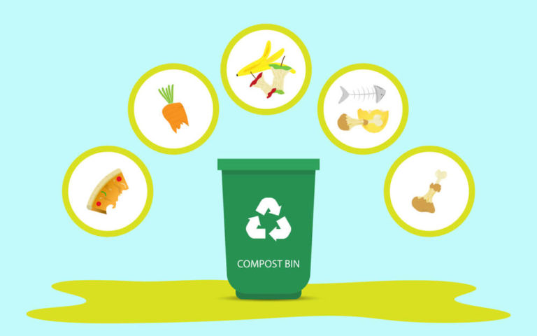 compost bin