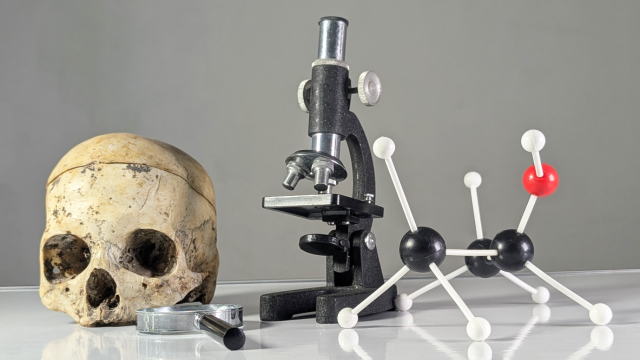 Forensic Anthropology: Skeletal Analysis