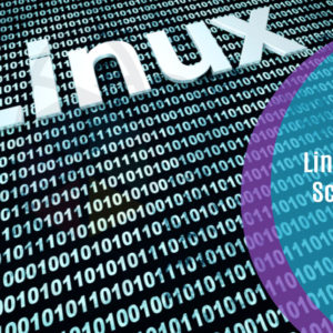 Linux Shell Scripting