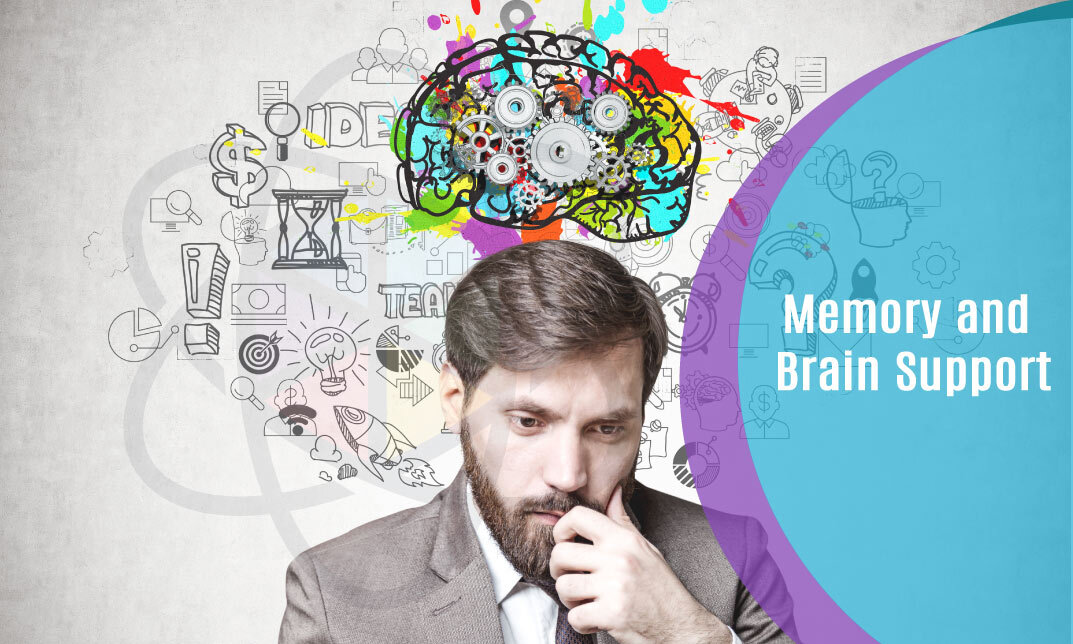 Memory and Brain Support Course