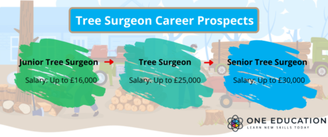 tree surgeon career prospects