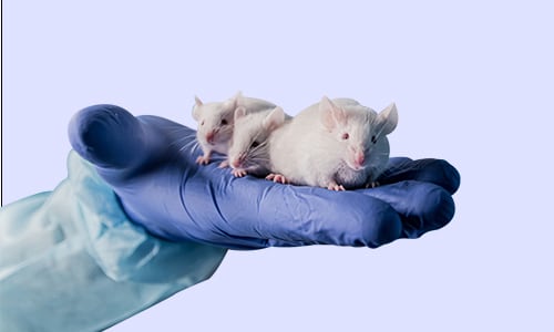 Animal Science