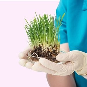 Agricultural Science & Gardening