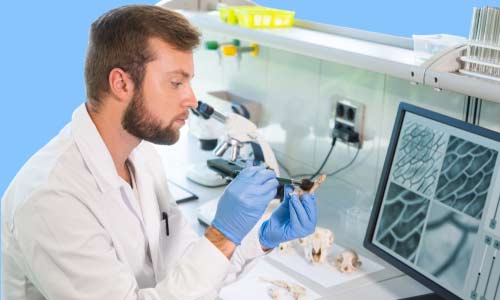 Zoology & Animal Science – One Education Zoology & Animal Science – One Education