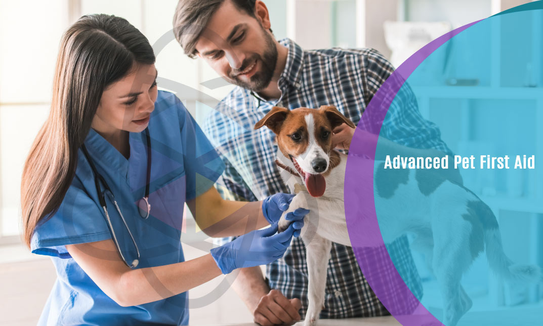 Advanced Pet First Aid