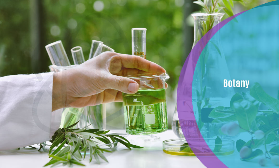 Botany One Education