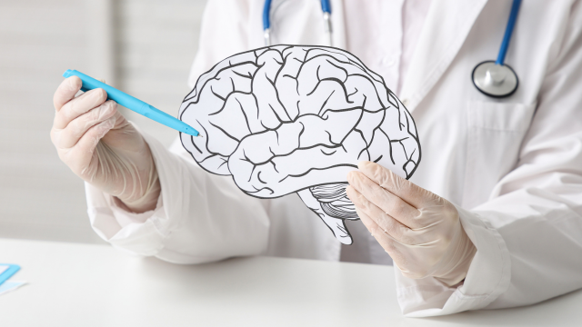 Brain - Injuries & Concussion