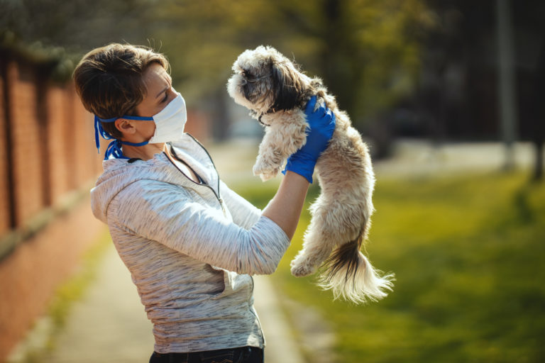 A woman in a mask is spending time with her Shih Tzu dog