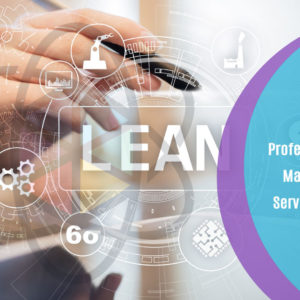 Professional Lean Management: Service Industry