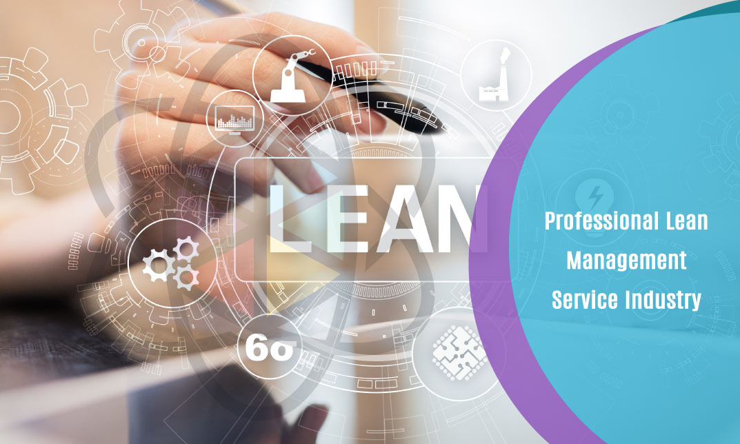 Professional Lean Management: Service Industry