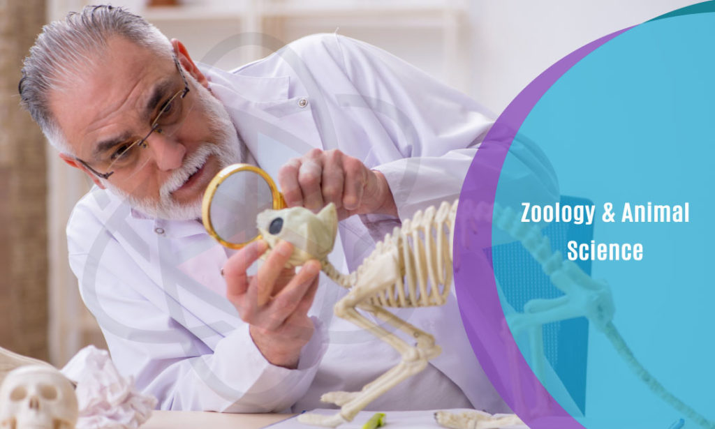 Zoology & Animal Science One Education