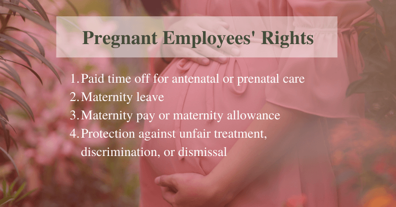 rights-of-pregnant-employees