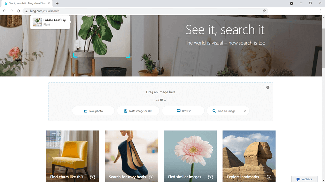 Bing visual search