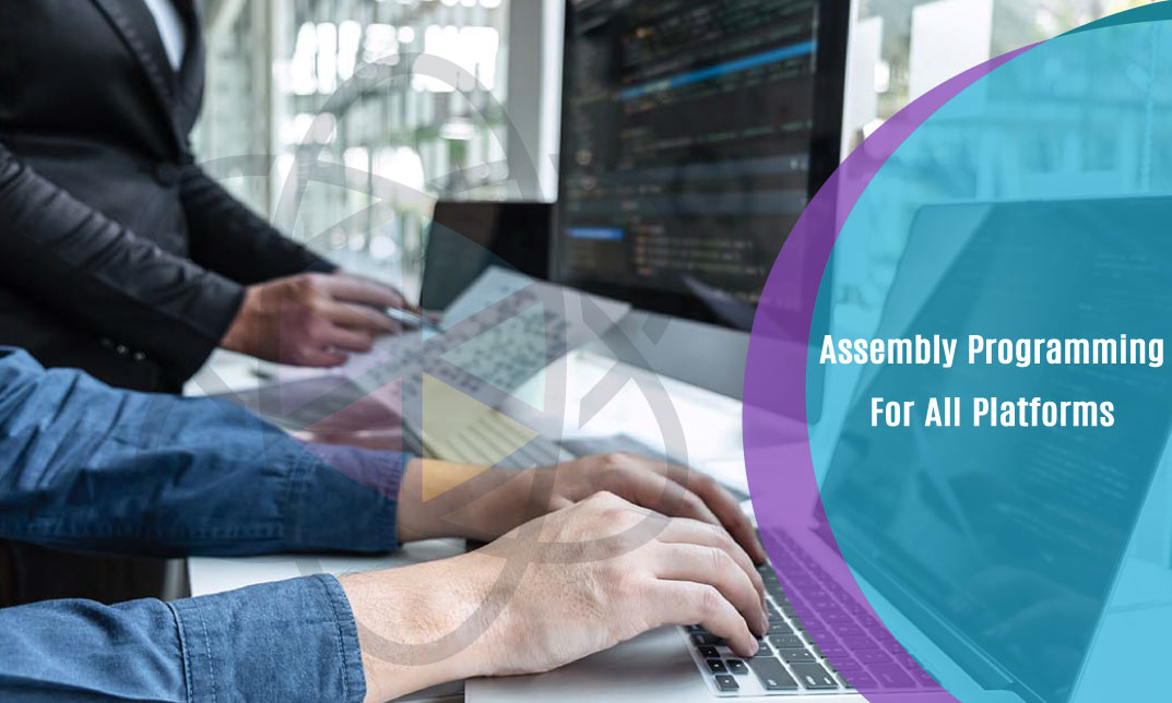 Assembly Programming For All Platforms