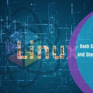 Bash Scripting, Linux and Shell Programming