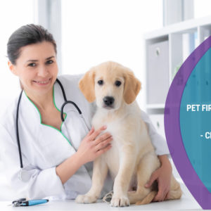 Pet First Aid and CPR