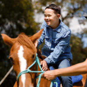 Horse Care - Equine Psychology