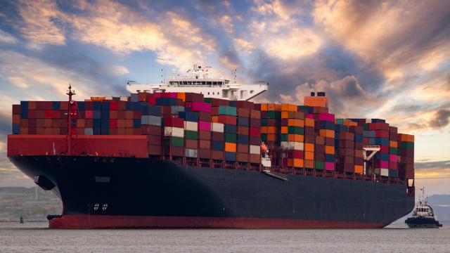 Import/Export