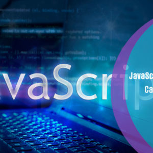 JavaScript Shopping Cart Course