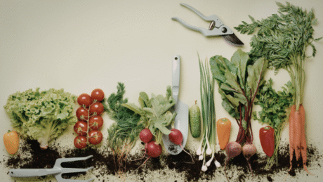 Kitchen Gardening