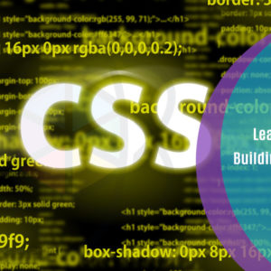 Learn CSS by Building 5 Projects