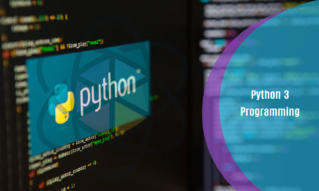Python 3 Programming