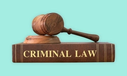 Criminal Law & Police