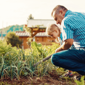 Gardening - Garden Design