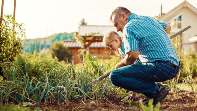 Gardening - Garden Design