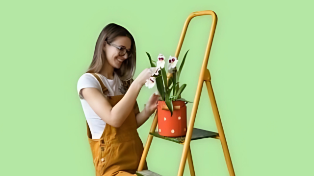 Gardening - Garden Design