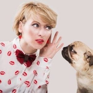 Canine Communication