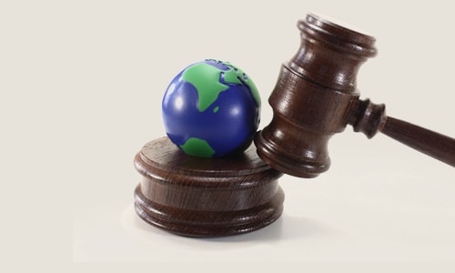 Environmental Law 2021