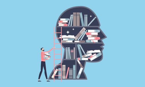 Library and Information Science diploma