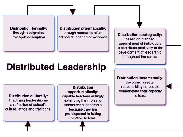 distributed leadership case study