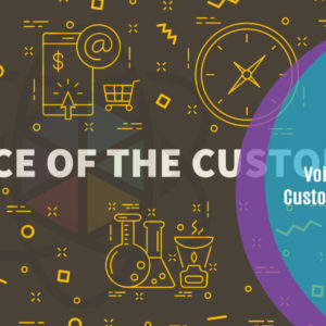 Voice of the Customer: Toolkit
