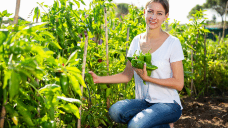 Agricultural Science & Gardening